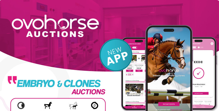 The Ovohorse Auctions app launches an embryo of Chacco Blue