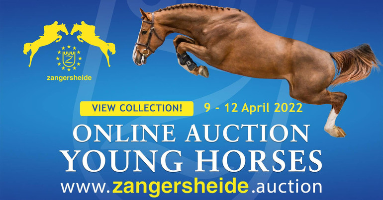 Bidding has started for the future stars in Zangersheide Online 
