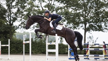 Discover Sale & Search Horses: The new platform for quality amateur show jumping horses