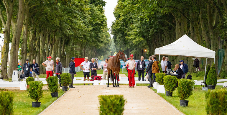 93 of 95 horses accepted at first veterinary inspection at the Olympic Games 2024